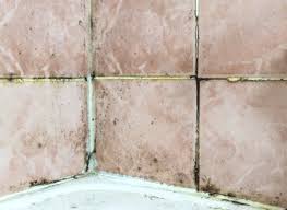 Maybe you would like to learn more about one of these? How To Remove Mold From Grout