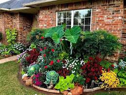 Pin By Rita Hilliard On Gardening Flower Pictures Plants Shrubs