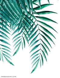 Touch device users, explore by touch or with swipe gestures. Tropical Palm Leaf Printable Leaf Wall Art Novocom Top
