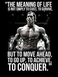 Pin By Teddy On Inspiration Quote Meme Conquer Quotes Arnold Schwarzenegger Quotes Fitness Motivation Quotes