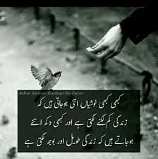 Beshak Urdu Words Deep Words Sufi Poetry