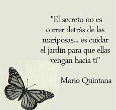 Resultado de imagen para REFLEXIONES DE LA VIDA