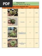 Image result for Allophylus pseudopaniculatus