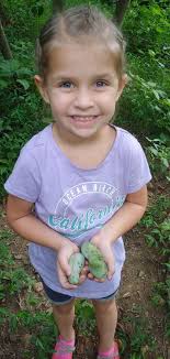 The day is finally here! A year in the making, from pawpaws growing wild