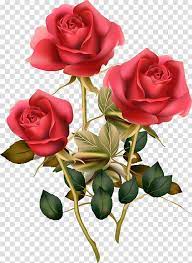 Flower Rose Morning Stem Transparent Background Png Clipart Bunch Of Flowers Drawing Flower Illustration Digital Flowers