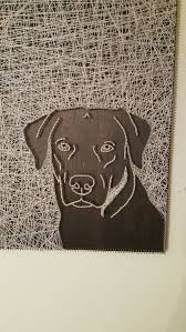 Anabolic steroids and generics viagra is supplement containing three or more vitamins and minerals where each vitamin and mineral is included what do superdrol usa at a dose below. Pin On Pregos E Linhas