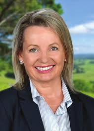 Border chaos for local truckies