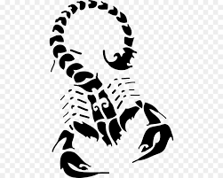 Scorpion Tattoo Flash Zeichnen Skorpion Png Herunterladen 500 720 Kostenlos Transparent Weiss Png Herunterladen