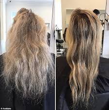You can see the change in my hair in 6 months. New Shark Cartilage Supplement Is Wowing Women With Its Ability To Transform Their Locks In No Time Daily Mail Online