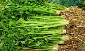 Pastu daun sup ni kalau kita sedut bau dia, x kuat sgt compare ketumbar yg baunye kuat.nak lagi senang, bawa jumpa cashier tanya ni daun sup or ketumbar. Selalu Tersilap Beli Daun Sup Vs Daun Ketumbar Makanlena