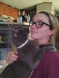 LOST-FOUND PETS in Bloomington/Normal