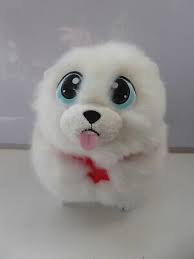 Pomeranian puppy hotsell Mi Mi