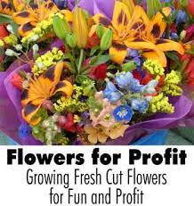 Or maybe you're even thinking about starting a flower farm and turning your. Pin On Homestead For Profit