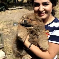 Alan Broadhurst's Instagram, Twitter & Facebook