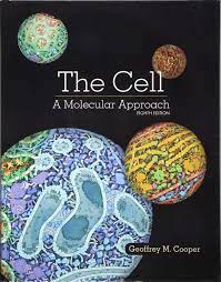 The Cell A Molecular Approach Amazon De Cooper Geoffrey Fremdsprachige Bucher