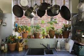 There are plenty of vegetables and even some fruits that you can grow indoors (even in a small, city apartment), from salad greens and scallions to peppers, tomatoes, and strawberries. The Guide To Growing Vegetables Indoors Urban Turnip