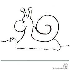 Disegno Di Lumaca Nel Bosco Da Colorare Per Bambini Gratis Disegnidacolorareonline Com Disegni Lumaca Disegni Da Colorare