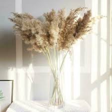 Pampas grass is back in favour, with florists reporting new demand for the exotic plant. Home Decor 10pcs Natural Dried Pampas Grass Reed Flower Bunch Bouquet Decoration Hot Floral Decor