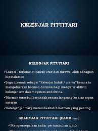 Overproduksi hormon hipofisis tsh dapat menyebabkanhipertiroidisme, atau kelebihan hormon tiroid. 2 3 1 Kelenjar Pituitari