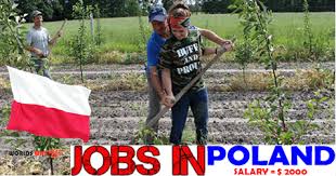 Farm Need Worker In Poland Apply Now Poland Job Seeker How To Apply