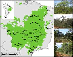 The daintree rainforest is a national park in far north queensland,. Neotropical Savanna Ants Show A Reversed Latitudinal Gradient Of Species Richness With Climatic Drivers Reflecting The Forest Origin Of The Fauna Vasconcelos 2018 Journal Of Biogeography Wiley Online Library