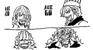 This is the collection of sbs sections from volume 96. Sanji At 40 And 60 Years As A Pirate Vs If