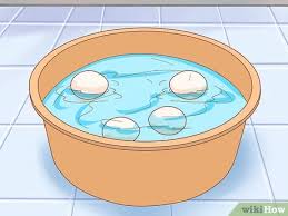 How to tell if eggs are off water test. How To Tell If A Bird Egg Is Infertile 5 Steps With Pictures