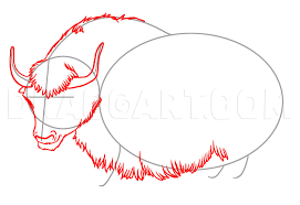 How To Draw A Yak Step By Step Drawing Guide By Dawn Dragoart Com If you have any questions or requests, leave it in the. how to draw a yak step by step
