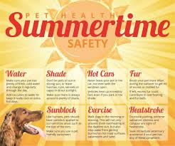 Jun 19, 2017 · keep your pets safe. County Durham Vets Issue Potentially Lifesaving Advice To Pet Owners As Temperatures Soar The Northern Echo