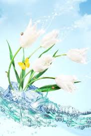 La consistenza sottile … immagini fiori e piante. Phoneky Fiori Hd Wallpapers