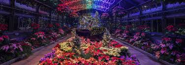 Maybe you would like to learn more about one of these? Annual Poinsettia Show