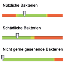 Insgesamt hat die untersuchung eine sensitivität von ca. Darmflora Analyse Test Was Kostet Welche Stuhluntersuchung