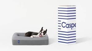 Also musste ich alles wechseln und einiges in reinigung bringen. Casper Vermarktet Jetzt Auch Matratzen Fur Hunde W V
