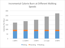 10 Memorable Calories Burn Chart Per Hour