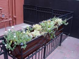 Drought resistant flowers for window boxes. Window Box Comic Con 2006 Photos 84 116