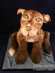 very real dog dog cakes real dog dogs