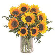 Flowerweb is a free news portal for the international floriculture industry. ××¨ ××× ×××ª 9 ×¤×¨××× ××¨× ×¤×¨××× ××¨× ×¤×¨××× Shufersal
