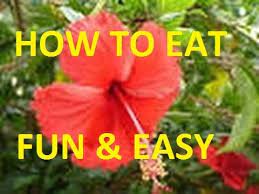 How To Eat Hibiscus Flowers Youtube