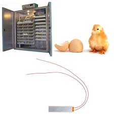 Popular with both veterinary practitioners and also breeders of puppies along with other species, the icu offers al. Heating Incubator Heater Element Plate For Egg Incubator Brooder Accessories 110v 220v Egg Incubator Incubator Bird Supplies