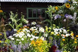 Check spelling or type a new query. Cottage Garden Plants 12 Floral Must Haves In Your Cottage Garden Setting Real Homes