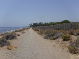 Longitud, latitud y coordenadas gps de. Archivo Dunas De El Saladillo Matas Verdes 10 Jpg Wikipedia La Enciclopedia Libre