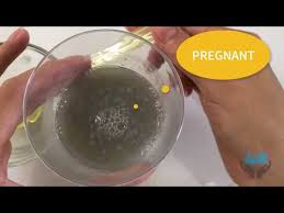 Ghar par pregnancy check karne ka tarika. Ghar Par Pregnancy Test Kaise Kare In Hindi Pregnancy Test