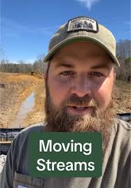 Conservation Efforts for Native Habitat Restoration