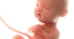 If a testtube baby leaves the atmosphere it becomes an alien. Test Tube Baby Photos Royalty Free Images Graphics Vectors Videos Adobe Stock