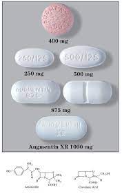 Amoxicillin With Clavulanate Potassium Sigler Drug Cards