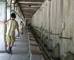 Bildergebnis für Bosmat Alon