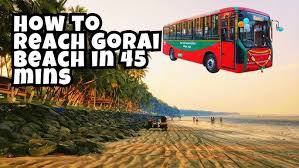 Explore Lion & Tiger Safari at Sanjay ...