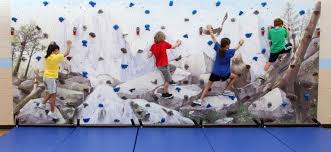 Again, we are safe at home and trying to come up with ways to keep our sanity and have our children continue to be healthy and thriving. Climbing Walls Everlast Climbing