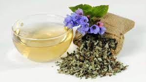 Cha De Pulmonaria Para Que Serve E Como Fazer Mundoboaforma