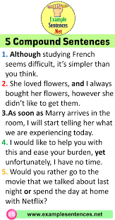 5 Examples Of Compound Sentences And Expression Example Sentences Compound Sentences Writing Complex Sentences Examples Of Compound Sentences